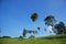 Sky, landscape and tree in the park