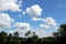 Sky with lot white clouds above forest trees. Nature and freedom concept.