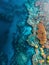 From the sky, the ocean's surface opens to a textured seabed, revealing a patchwork of coral and marine topography