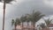 The sky before the rain in January in Hurghada, the overcast sky, and palm trees stagger from the strong wind