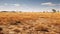 sky semi desert grasslands