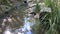 Sky and sun reflected in the water of West Ithaca Creek, Brisbane Australia.