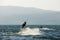 Sky-surfing on lake Kinneret