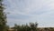 Sky time lapse with fluttering branches and leaves of silverberry shrubs