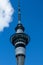 Sky Tower, Auckland, New Zealand