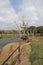 Sky, tree, plant, cloud, water, wood, branch, bank, landscape, grass, coast, river, arecales