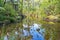 Sky and tree reflected beautifully in stream on Kaitoke Hot