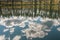 Sky and tree reflection in secluded area by the lake. Calm waters and cloudy sky. Sweden. selective focus. long exposure