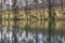 Sky and tree reflection in secluded area by the lake. Calm waters and cloudy sky. Sweden. selective focus. long exposure