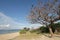 Sky, tree, sea, coast, shore, plant, cloud, beach, branch, spring, tourism, bay, ocean, vacation, tropics