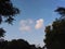 Sky view ,plants, field, agriculture,clouds etc