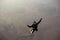 Skydiver jumps from a plane