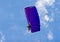 Skydiver with Parachute