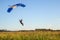Skydiver with a parachute is landing in a green field