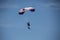 Skydiver on paraglider in flight