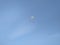 Skydiver paratrooper with a white round sky parachute in flight against a blue sky