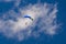 Skydiver under the canopy blue of the parachute against a blue sky and white clouds