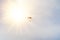 Skydiver under little canopy of a parachute on the background a sun and a blue sky. Silhouette of the skydiver with parachute