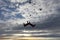 Skydivers are jumping out of a plane into amazing sky.