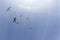 Skydivers are jumping out of a plane into blue sky.