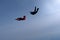 Skydiving in the blue sky.. Two skydivers are training.