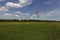 Skydiving. A canopy pilot is landing on the green field.