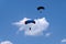 Skydiving. Canopy piloting in the blue sky.