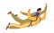 Skydiving, Extreme Paragliding Activity, Recreation. Skydiver Characters Jumping with Parachute in tandem Soaring in Sky