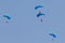 Skydiving formation performing