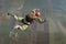 Skydiving photo