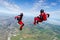 Skydiving photo. The concept of active recreation.