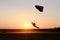 Skydiving. Sunset landing. Swoop. Canopy piloting.