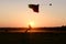 Skydiving. Sunset landing. Swoop. Canopy piloting.