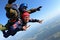 Skydiving tandem is falling in the blue sky.