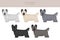 Skye terrier coat colors, different poses clipart