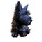 Skye Terrier lap dog tiny pet of small size digital art. Puppy looking in distance breeding domestic animal closeup watercolor