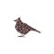 Skylark lark bird spiral pattern color silhouette animal