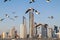 Skyline of Abu Dhabi with sea gulls, United Arab Emirat