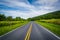 Skyline Drive at Beagle Gap, in Shenandoah National Park, Virgin