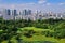 Skyline of high rise public housing on bright sunny day, lush green public park in foreground, Beautiful sunny day with blue sky