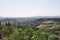 Skyline Landscape with Vineyard an Olive orchards of the Medieval San Gimignano hilltop town. Tuscany region. Italy