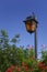 Skyline lantern in a garden.