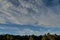 Skyline of trees and a beautiful cloudscape against a blue sky