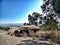 Skyline trees grass kibbutz israel