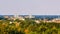 Skyline view of the city of apeldoorn from the forest, Dutch town in nature, The netherlands