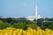 Skyline view of Washington DC, with the Lincoln Memorial, Washington Monument and Capitol building in view. Wildflowers blurred in