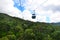 Skyrail Rainforest Cableway above Barron Gorge National Park Que