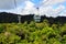 Skyrail Rainforest Cableway above Barron Gorge National Park Que