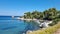 skyros or skiros atsitsa beach pine trees blue sea greece