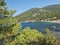 skyros or skiros island, pefkos beach pine trees beside the sea summer destination in greece
